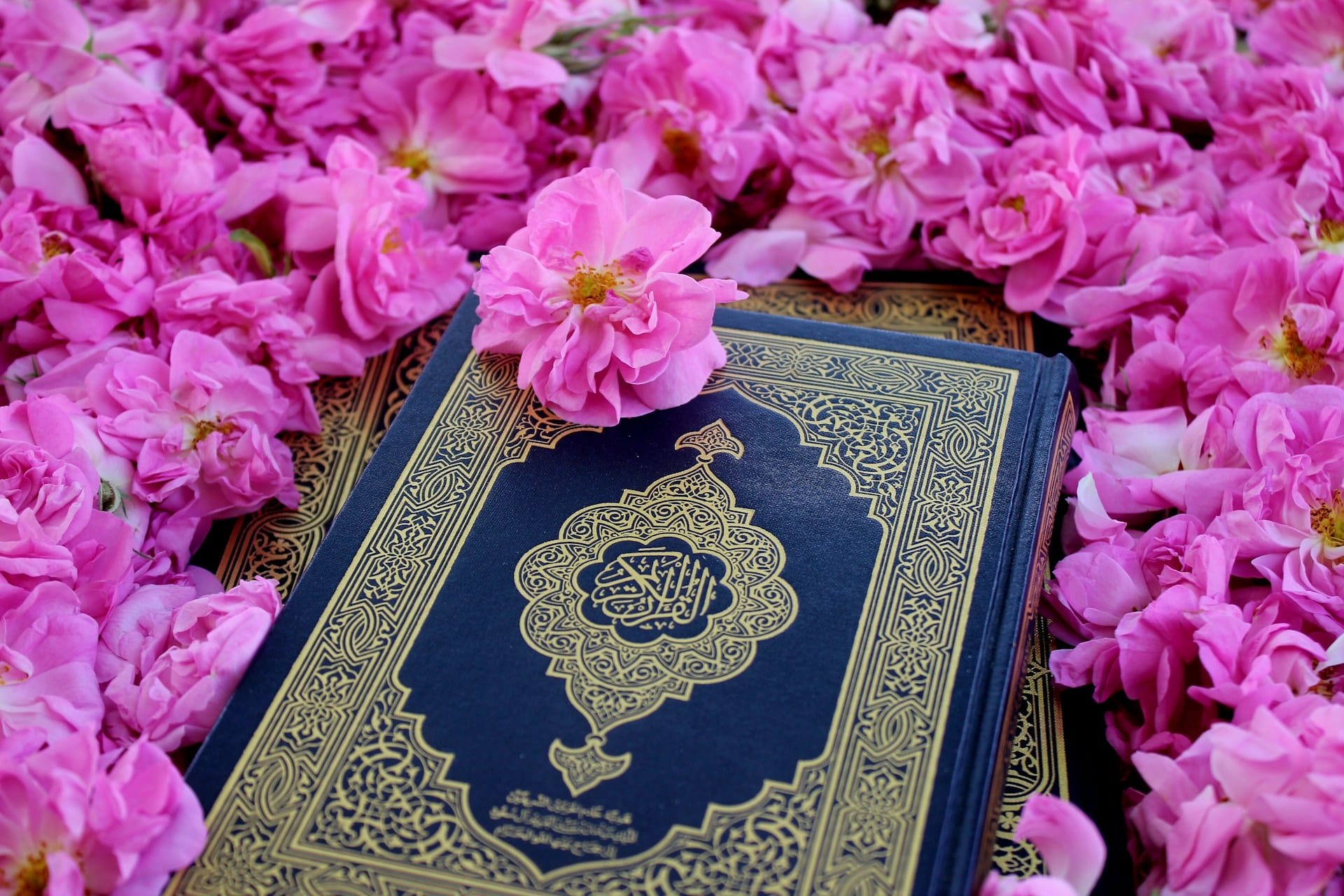 tadabbur Al Quran